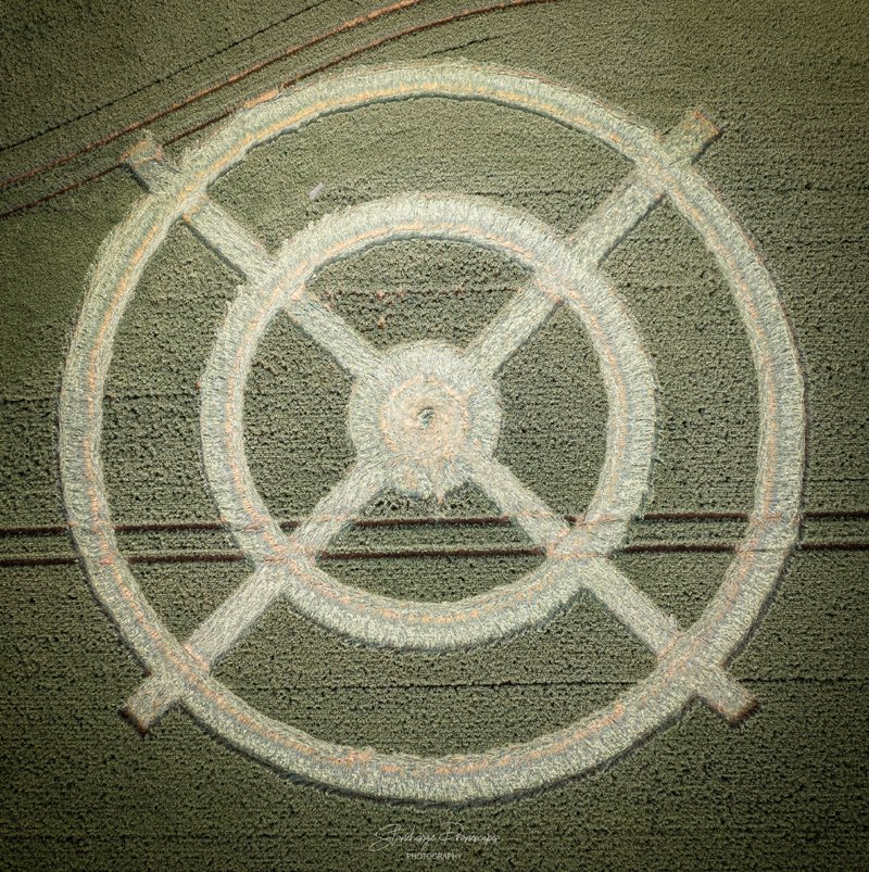 Círculo de cultivos 2021