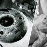 Silver Bug Project: ¿Usaron tecnología alienígena para crear un OVNI? Silver Bug Project: ¿Usaron tecnología alienígena para crear un OVNI?