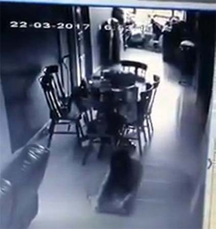 sirvienta poseída por entidades demoníacas