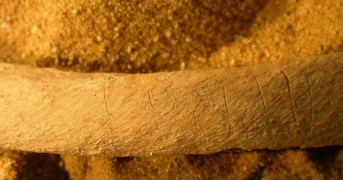 Un nuevo estudio destaca la resistencia contra los zombis en la Inglaterra medieval