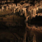 Cueva de 5,5 millones de años con su propio ecosistema antiguo estuvo recientemente en Rumania Cueva de 5,5 millones de años con su propio ecosistema