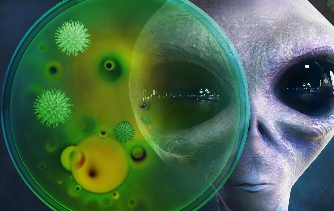 El Ser de Évora: Un Organismo Extraterrestre vivo, capturado y estudiado en Portugal hace 58 años El Ser de Évora: Un Organismo Extraterrestre vivo, capturado y estudiado en Portugal hace 58 años