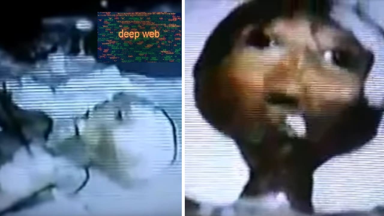https://www.infinityexplorers.com/controversy-networks-extraterrestrial-recorded-video-switzerland-1992 https://www.infinityexplorers.com/controversy-networks-extraterrestrial-recorded-video-switzerland-1992
