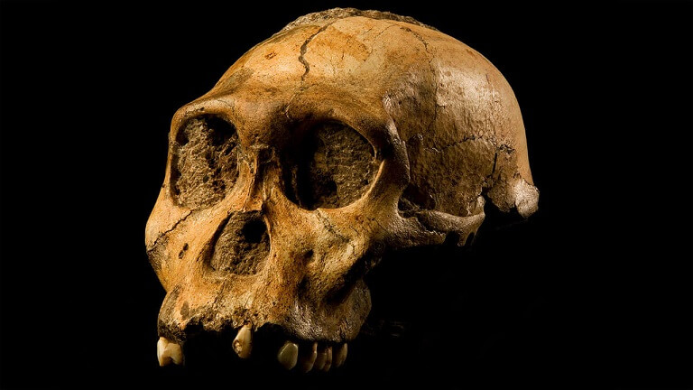 Rastros de una antigua cultura humana de hace 40.000 años descubiertos en China Rastros de una antigua cultura humana de hace 40.000 años descubiertos en China