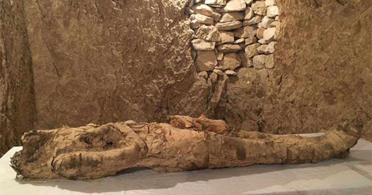 Dos tumbas antiguas que contienen numerosos tesoros desenterradas en Egipto y una contiene una momia Dos tumbas antiguas que contienen numerosos tesoros desenterradas en Egipto y una contiene una momia