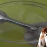 Francamente increíble: el ejército de EE. UU. desarrolla un metal líquido similar a un terminador altamente elástico Francamente increíble: el ejército de EE. UU. desarrolla un metal