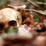 Un milagro y una tragedia: Kenji Iwamura y su SOS Un milagro y una tragedia: Kenji Iwamura y su SOS