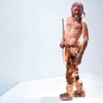 El hacha de Otzi: ¿Por qué fue descartada el arma del hombre de hielo congelado? El hacha de Otzi: ¿Por qué fue descartada el arma