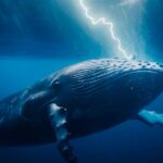 Monstruos de las profundidades? La verdad sobre las ballenas criptidas Monstruos de las profundidades? La verdad sobre las ballenas criptidas