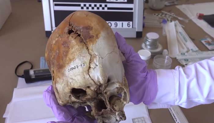 El ADN de los cráneos de Paracas muestran que pertenecen a seres no documentados