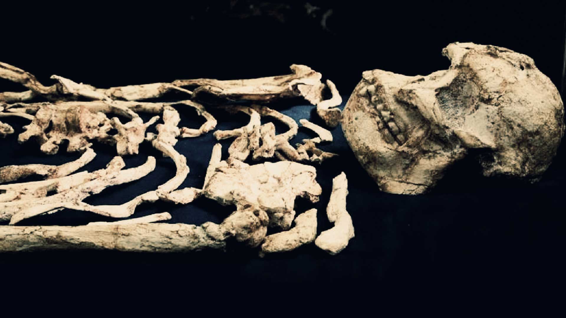 Este antiguo esqueleto trae de cabeza a todos los científicos aún 25 años después de ser hallado