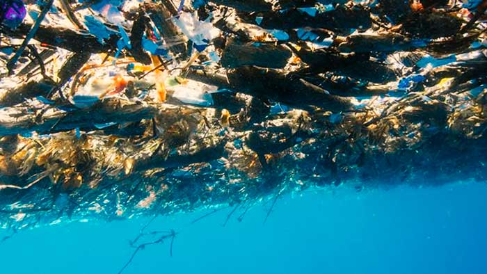 Más de una milla cuadrada de plástico en el Caribe asfixia la vida silvestre, ¿cómo hemos llegado a esto?