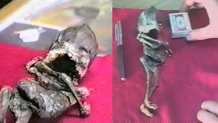 Investigadores rusos sacan a la luz hallazgo de momia alienígena enana en 1996
