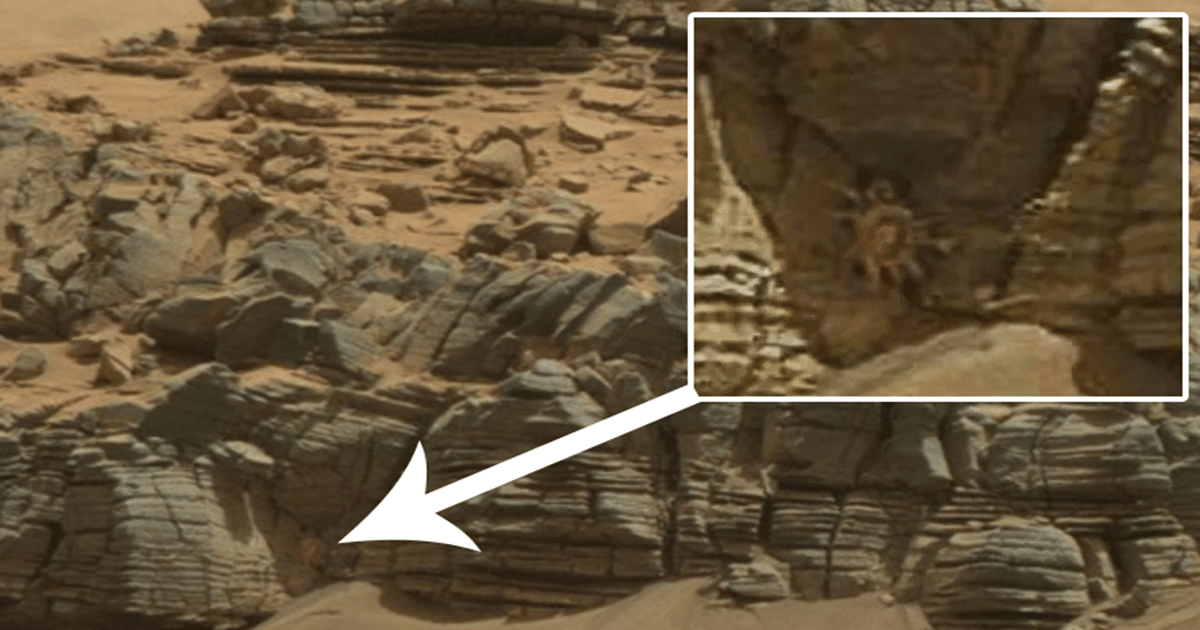 Vida en Marte: se encontró una extraña criatura parecida a un cangrejo en el planeta rojo