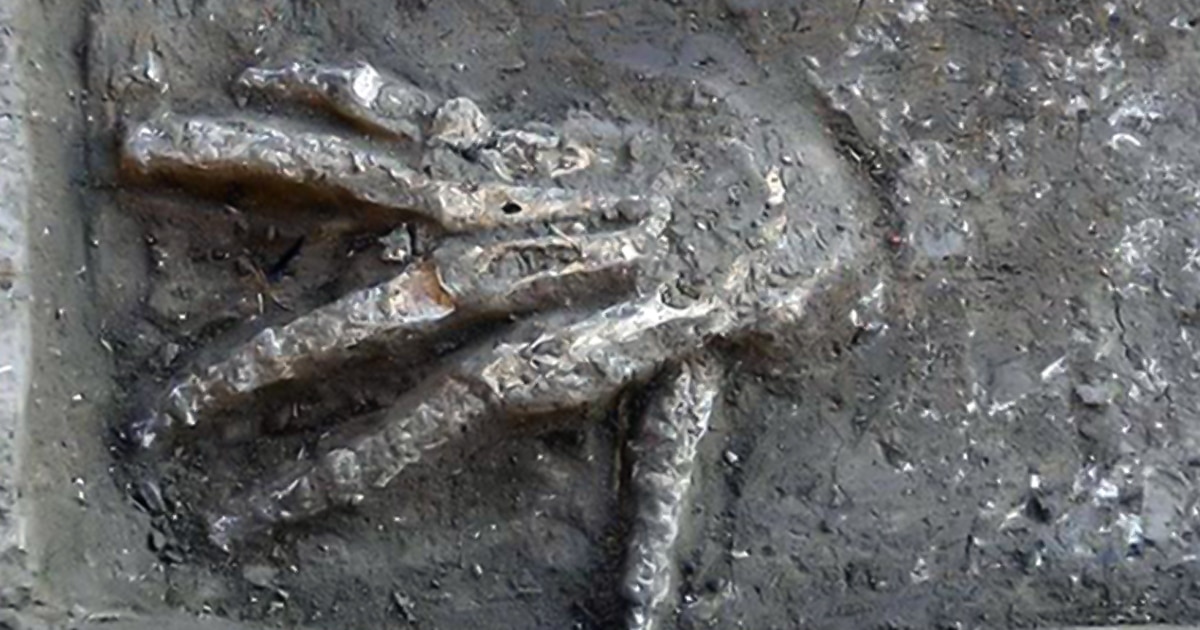 Antiguas manos gigantes de 3600 años fueron descubiertas recientemente en Egipto