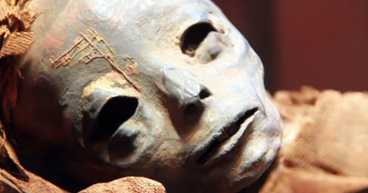 Esta extraña momia humanoide fue descubierta en Egipto