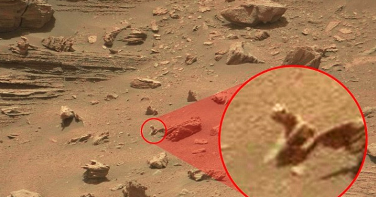 Lagarto alienígena avistado en Marte por un cazador de ovnis