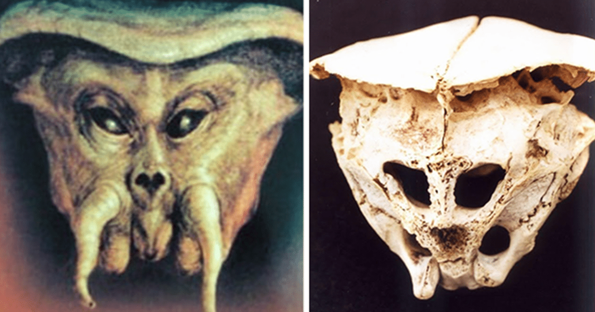 Se ha encontrado un cráneo extraño, posiblemente alienígena, en las montañas Ródope