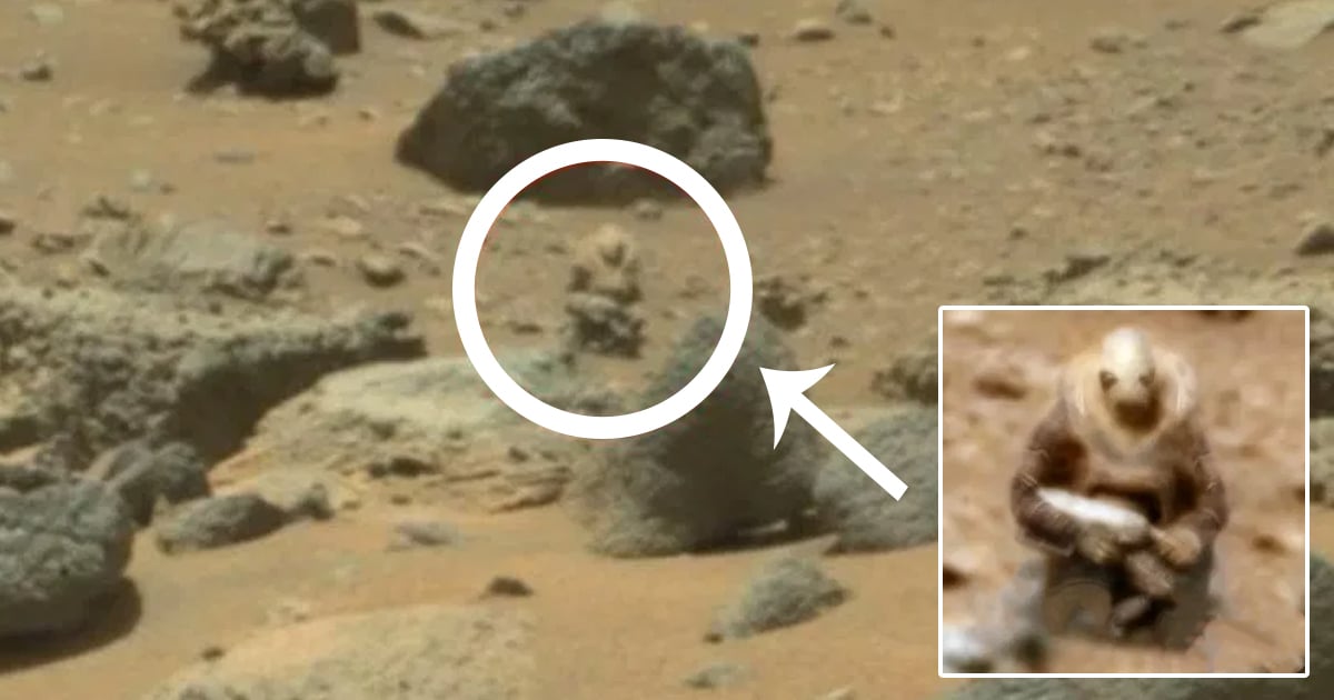 Soldado extraterrestre visto en Marte por el Curiosity Rover de la NASA, dice un entusiasta de los ovnis