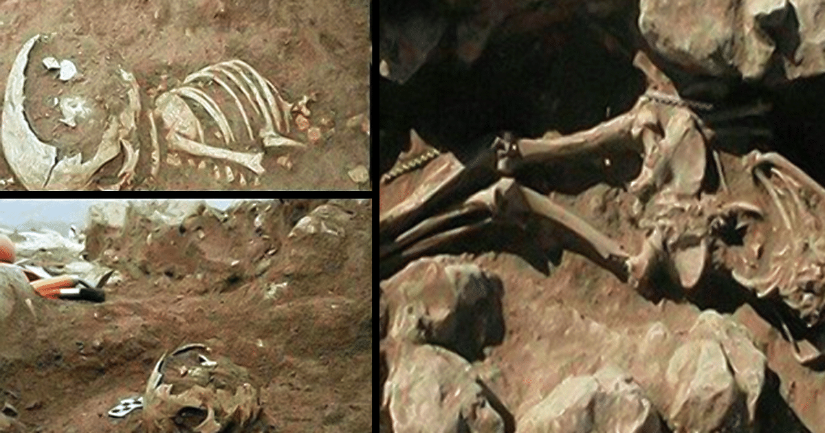 Restos de un antiguo gigante descubierto recientemente en Irán