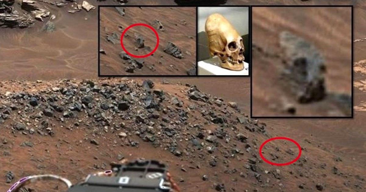 ¡¿Posible cráneo alargado descubierto en el planeta Marte?!