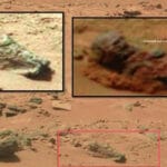 ¿Restos de un antiguo caballero encontrados en Marte?