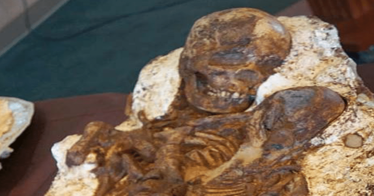 Los arqueólogos descubrieron a la madre todavía acunando a su bebé después de 4.800 años (video)