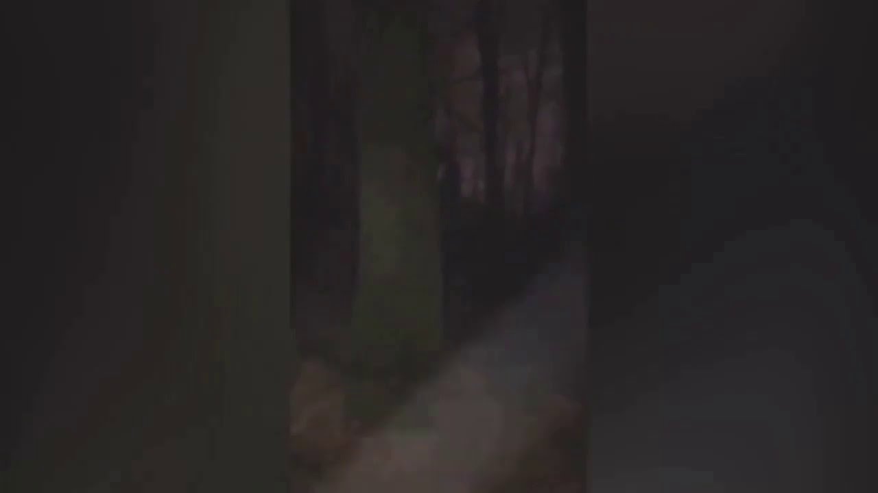 Avistamiento de demonios filmado en el bosque