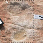 Huellas humanas de 120,000 años de antigüedad descubiertas recientemente en Arabia Saudita