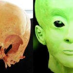 The Starchild Skull - Un descubrimiento de ancestros extraterrestres