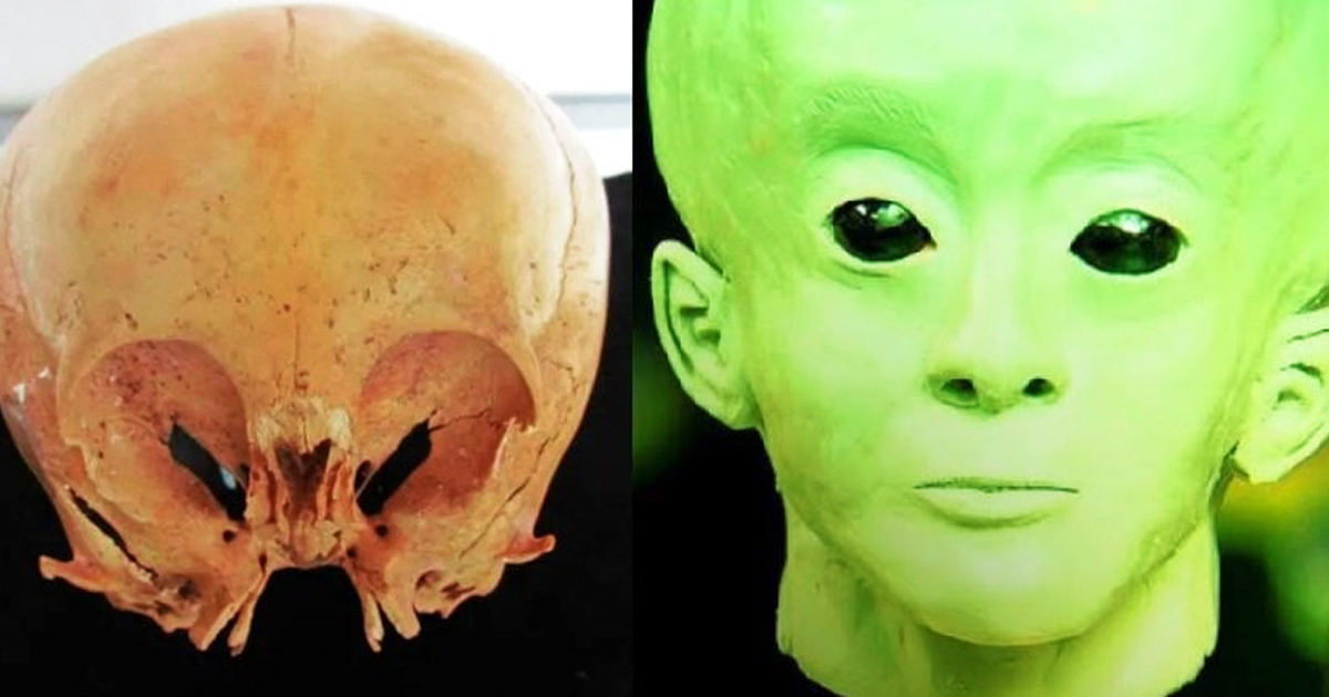 The Starchild Skull – Un descubrimiento de ancestros extraterrestres