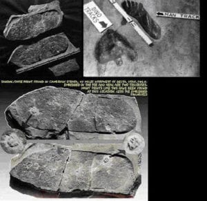 Una huella de zapato de más de 200 millones de años