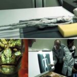 Momia extraterrestre encontrada en Perú, pertenece sustancialmente al tipo reptiliano