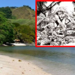 Una raza gigante aún vive en las Islas Salomón, según algunos lugareños