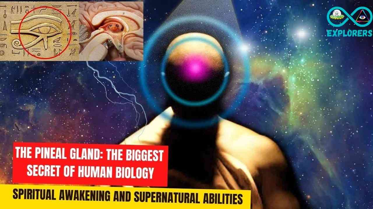 La Glándula Pineal: El Mayor Secreto De La Biología Humana, El Despertar Espiritual Y Las Habilidades Sobrenaturales