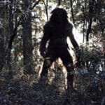 Exsoldado afirma que Bigfoot podría ser en realidad un ser