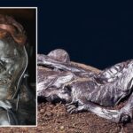 Hombre de Grauballe: "persona del pantano" conservada que tiene más de 2000 años.