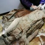 Una momia de 700 años perfectamente conservada en un líquido marrón parecía tener solo unos meses