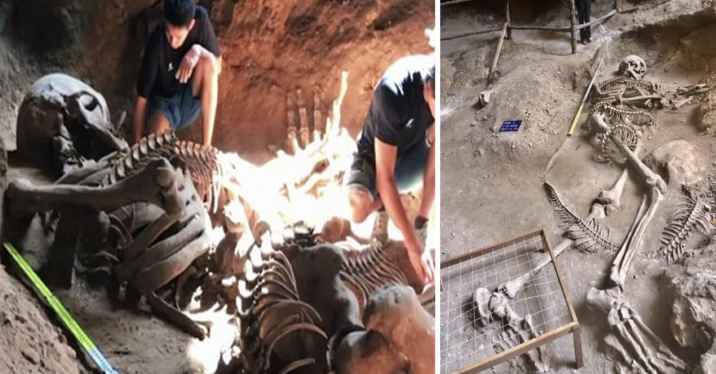 ¿Esqueletos gigantes antiguos de un ser humano y una serpiente descubiertos en Tailandia?  ¿O es solo un engaño bien hecho?