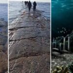 Enorme “carretera” emerge del Océano Pacífico: ¿una civilización perdida?