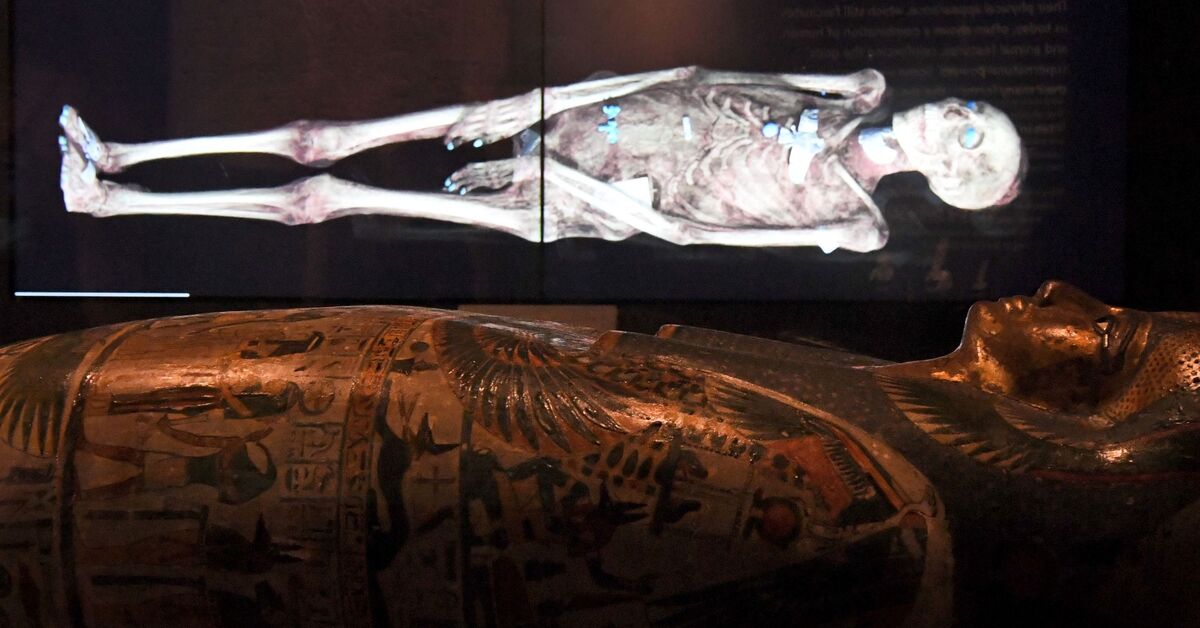 Científicos han encontrado una momia de 3.000 años en Israel y han descubierto al abrirla y estudiarla que no es humana