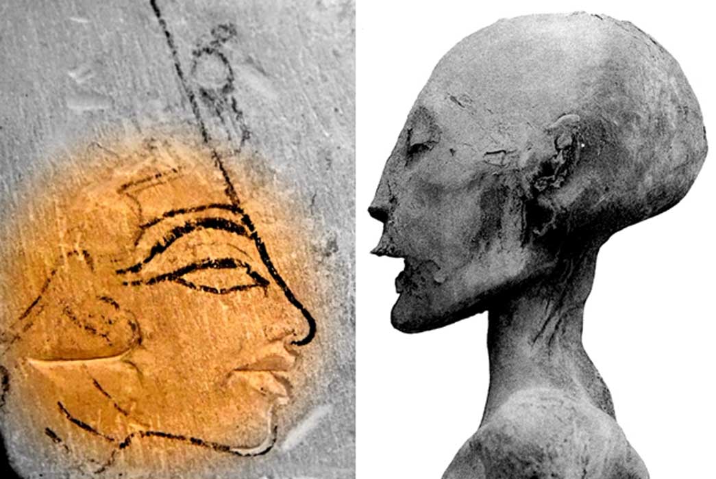 Busto de discordia: estalla la controversia cuando la Dama Joven es apodada Nefertiti – Parte I