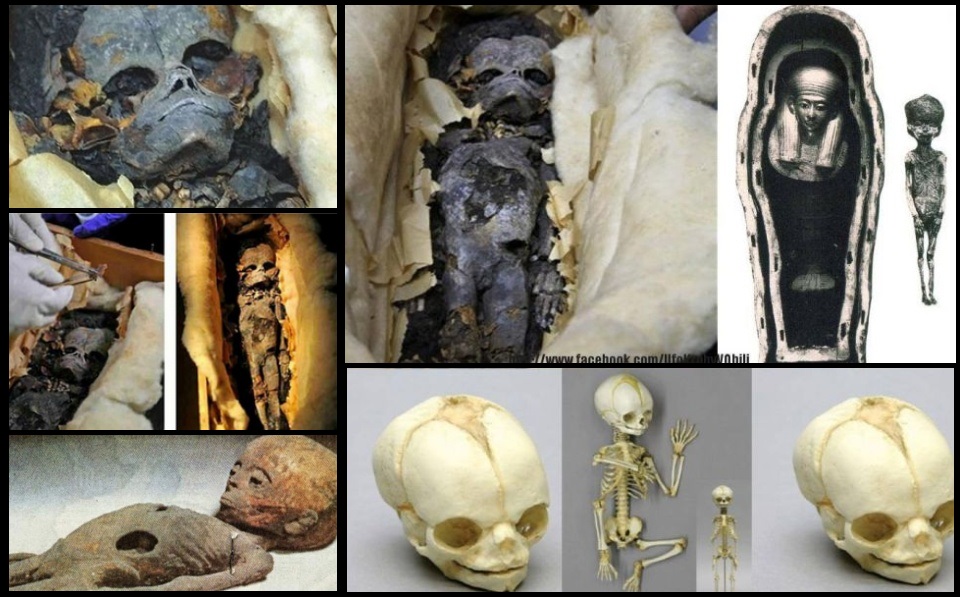 Sorpresa: momias extraterrestres encontradas en una tumba en Egipto.
