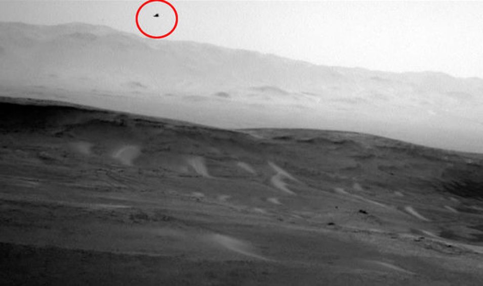 NASA-Mars-Curiosity-Rover-flying-bird photo